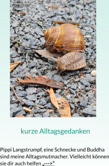 kurze Alltagsgedanken  Pippi Langstrumpf, eine Schnecke und Buddha sind meine Alltagsmutmacher. Vielleicht können sie dir auch helfen „--->“