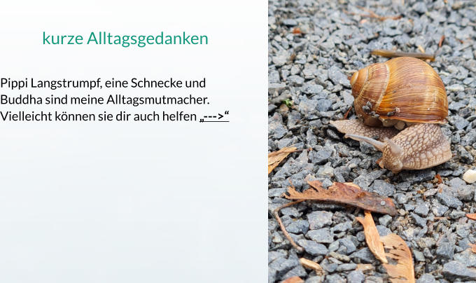 kurze Alltagsgedanken  Pippi Langstrumpf, eine Schnecke und Buddha sind meine Alltagsmutmacher. Vielleicht können sie dir auch helfen „--->“