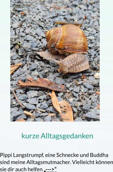 kurze Alltagsgedanken  Pippi Langstrumpf, eine Schnecke und Buddha sind meine Alltagsmutmacher. Vielleicht können sie dir auch helfen „--->“
