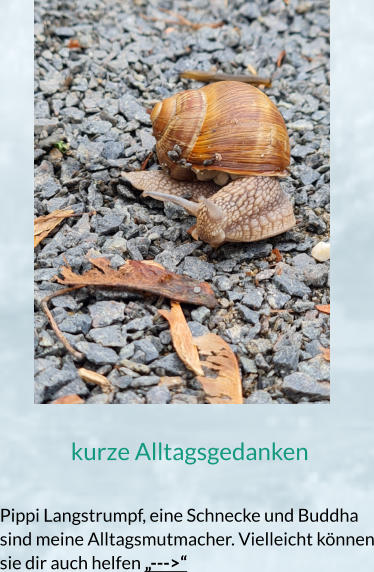 kurze Alltagsgedanken  Pippi Langstrumpf, eine Schnecke und Buddha sind meine Alltagsmutmacher. Vielleicht können sie dir auch helfen „--->“